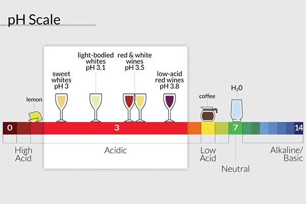 意大利酒評家說的酒體(tǐ)、平衡和結構到底是什麽？-酸度(Acidity)